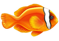 Amphiprioninae Pesce Pagliaccio Roma