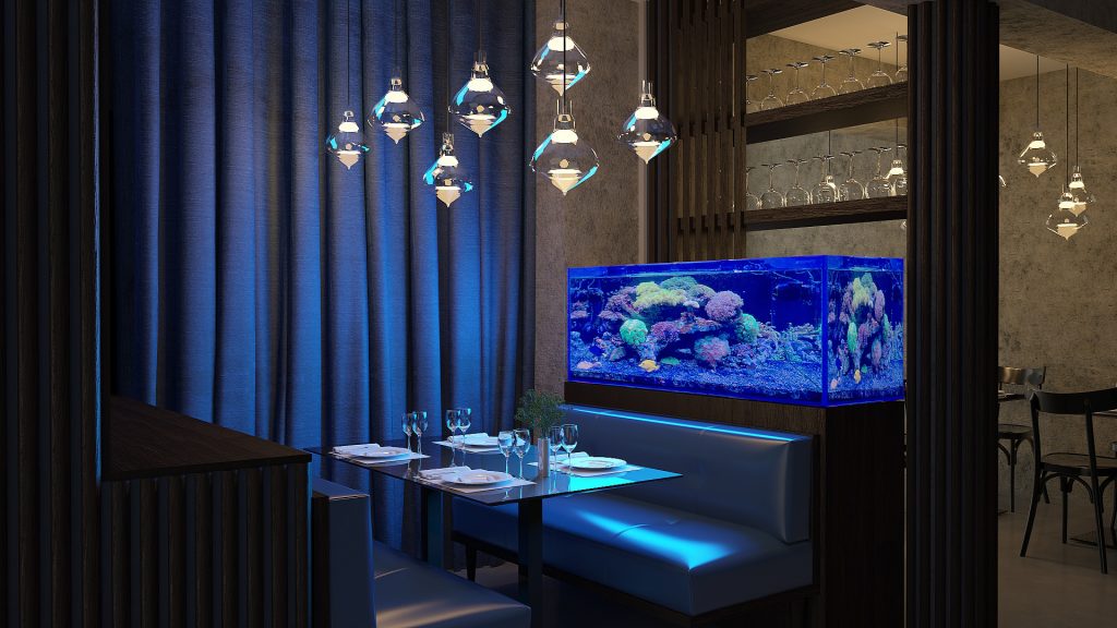 acquario di design noleggio realizzazione domicilio roma