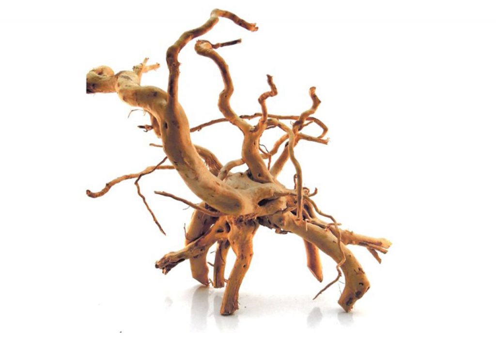 Driftwood - vendita legni radici acquario roma