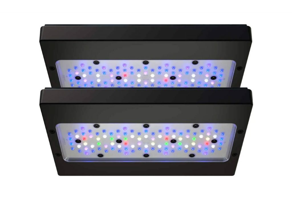 Radion g6 - Illuminazioni per acquari