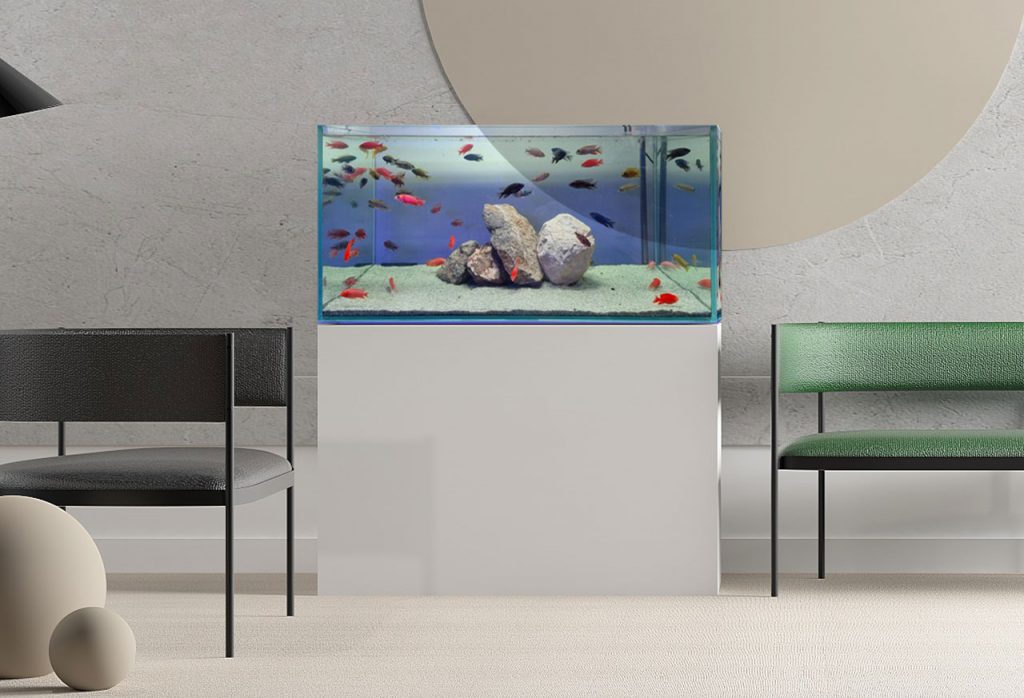 vasca su misura acquario roma